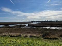 More marshes
